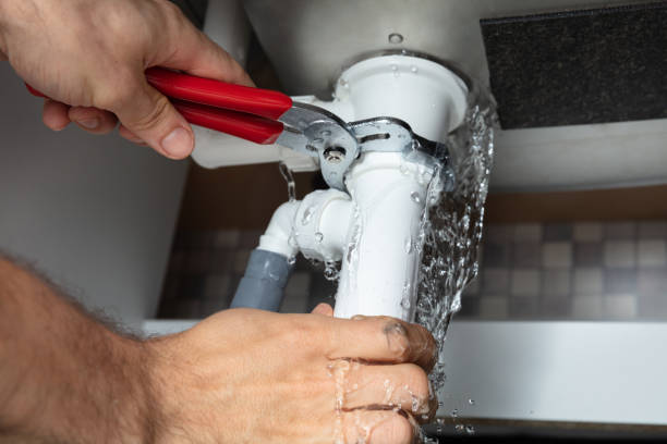 Best Sewage cleanup and water damage restoration  in Mosinee, WI
