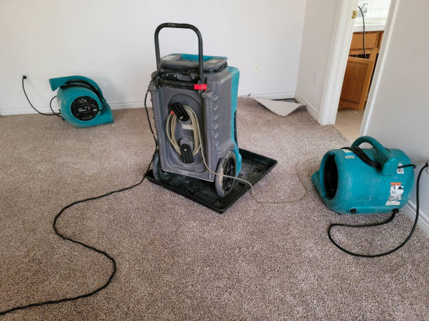 Best Water damage contractors near me  in Mosinee, WI