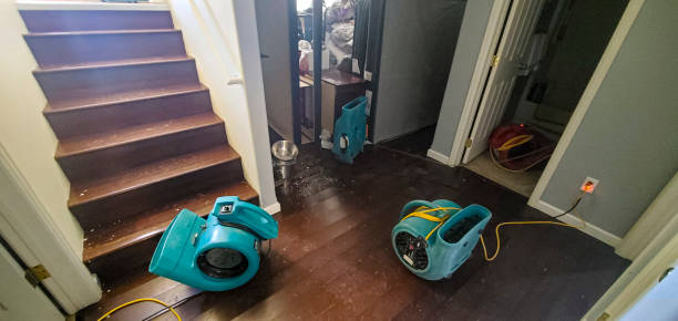Best Water damage repair service  in Mosinee, WI