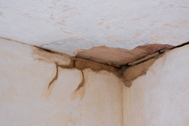 Best Sewage cleanup and water damage restoration  in Mosinee, WI