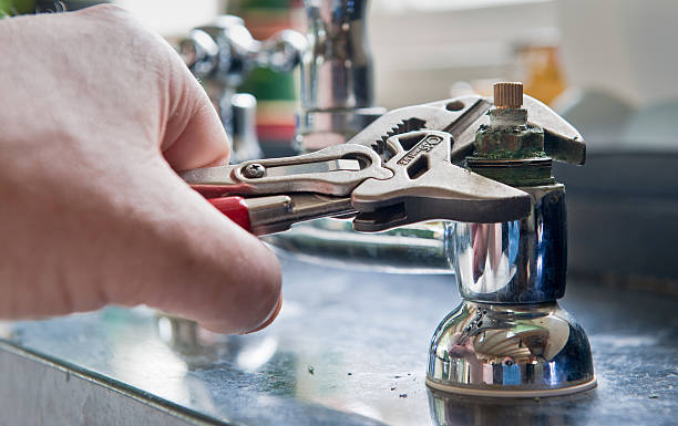 Best Mold removal after water damage  in Mosinee, WI