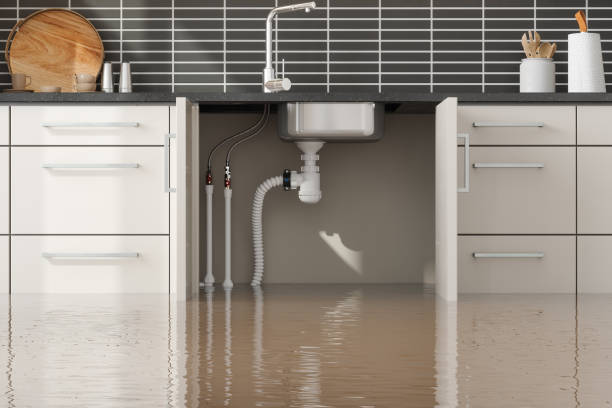 Best Sewage cleanup and water damage restoration  in Mosinee, WI