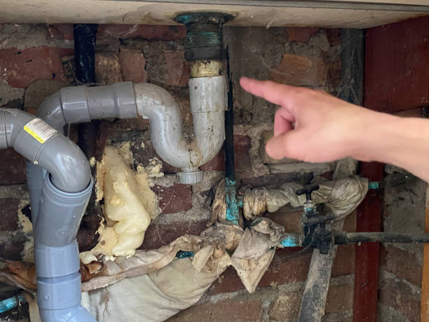 Best Fire Damage Restoration  in Mosinee, WI