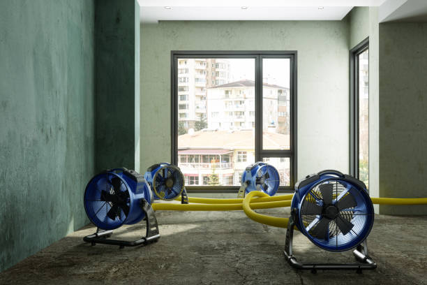 Best Water damage contractors near me  in Mosinee, WI