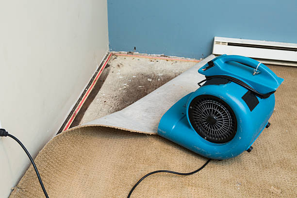 Reliable Mosinee, WI Water damage restoration Solutions