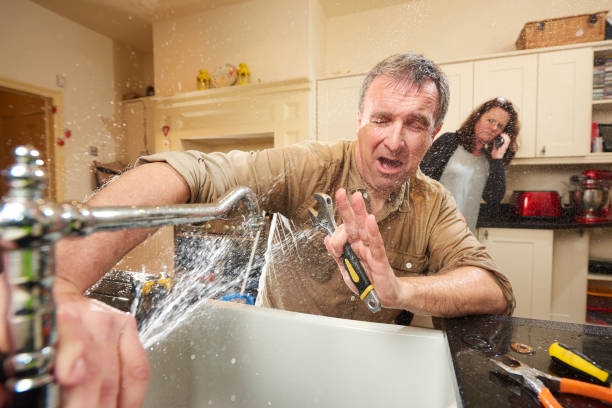 Best Local water damage restoration  in Mosinee, WI